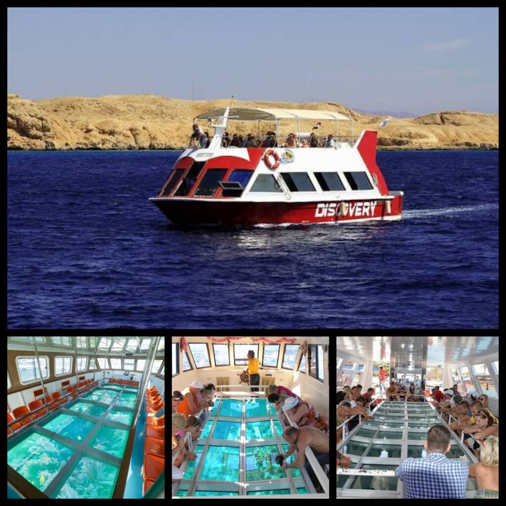 Glass Bottom Boat Excursion​ Стеклянная лодка в Шарм-Шейхе Cam Tekne Fondo Di Vetro