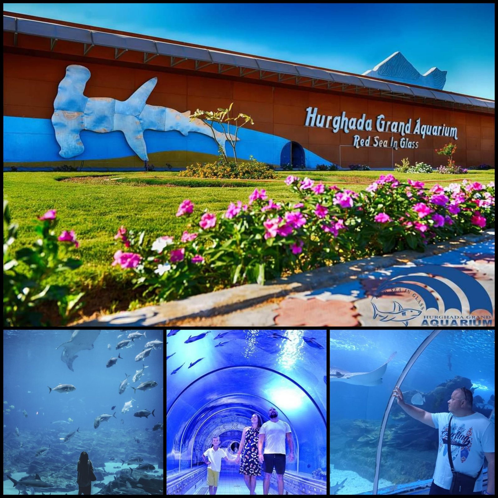 Грандиозный аквариум Akvaryum Grand Aquarium Acquario A Hurghada