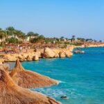 WhatsApp Image 2024-04-14 at 1.20.24 PM (1)