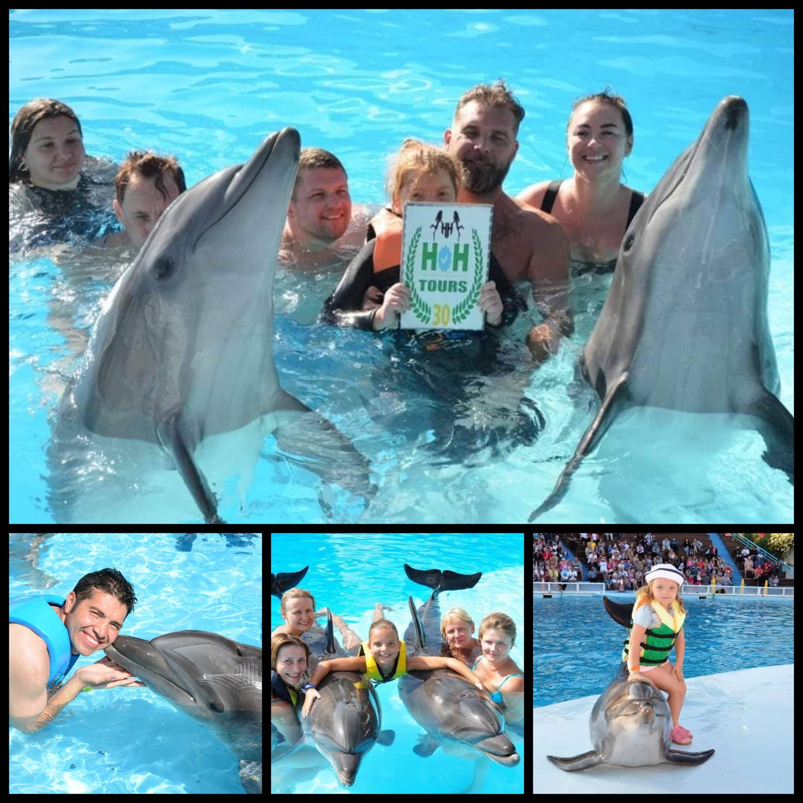 Swimming with dolphins Yunuslar ile Yüzmek Плавание с дельфинами Nuotare con i Delfini