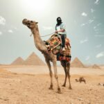 H.H Tours -Sharm / Hurgada | The Best Excursions In 2024 Шарм-Ель-Шейх / Хургада / кращі екскурсії