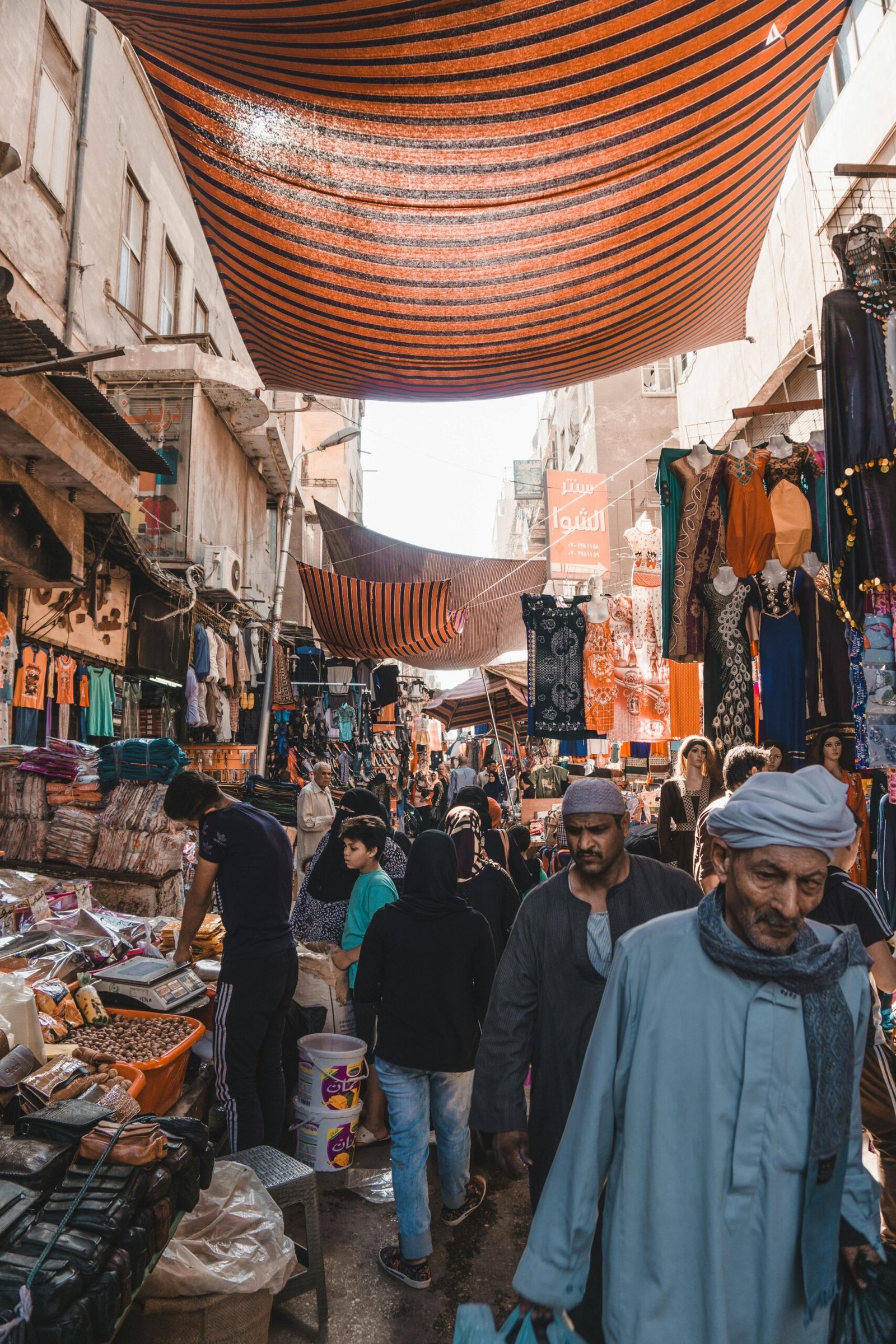 Cairo by bus | Excursions In Egypt pexels-alexazabache-3243027
