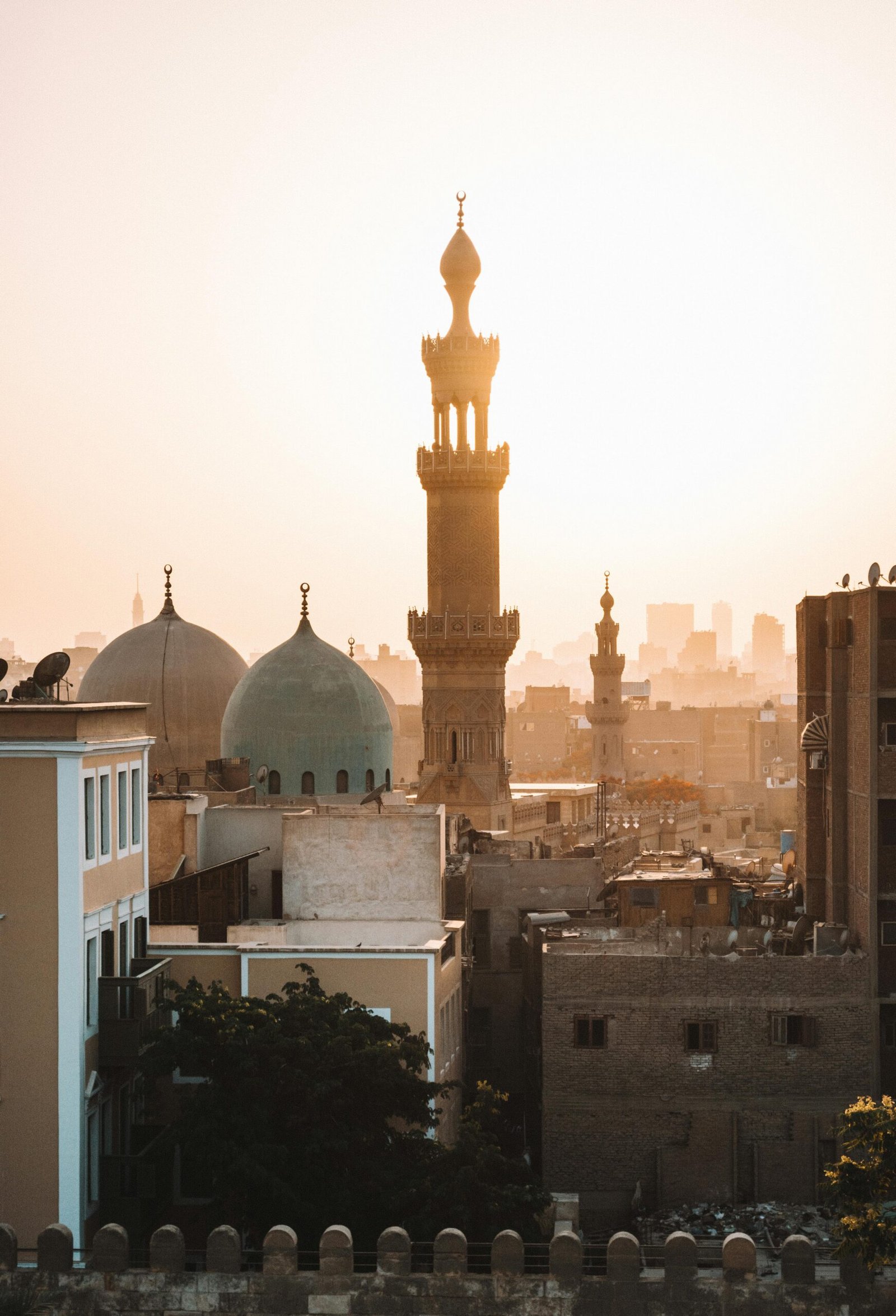 Cairo by bus | Excursions In Egypt pexels-alexazabache-3290075