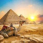 cairo by bus