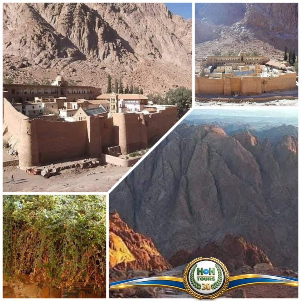 Mountain Moses Saint Catherine