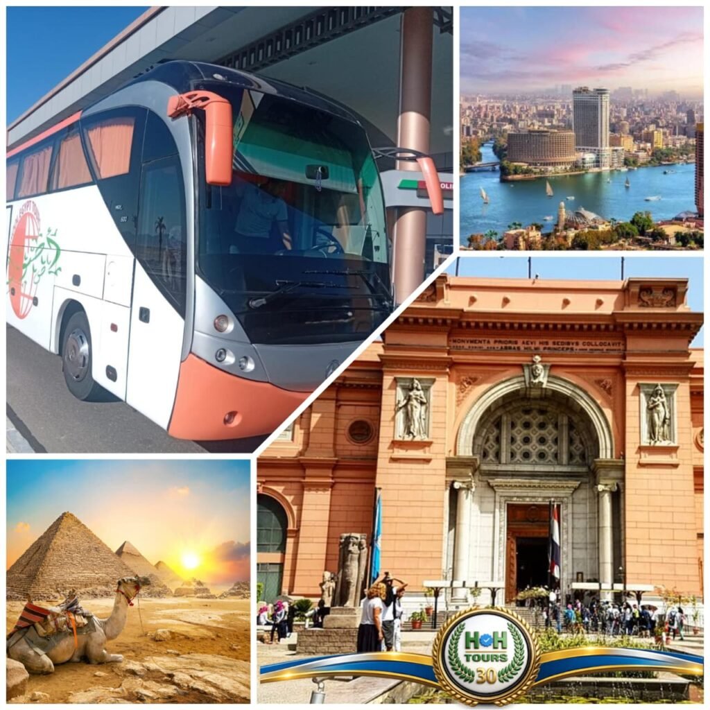 Cairo By Bus