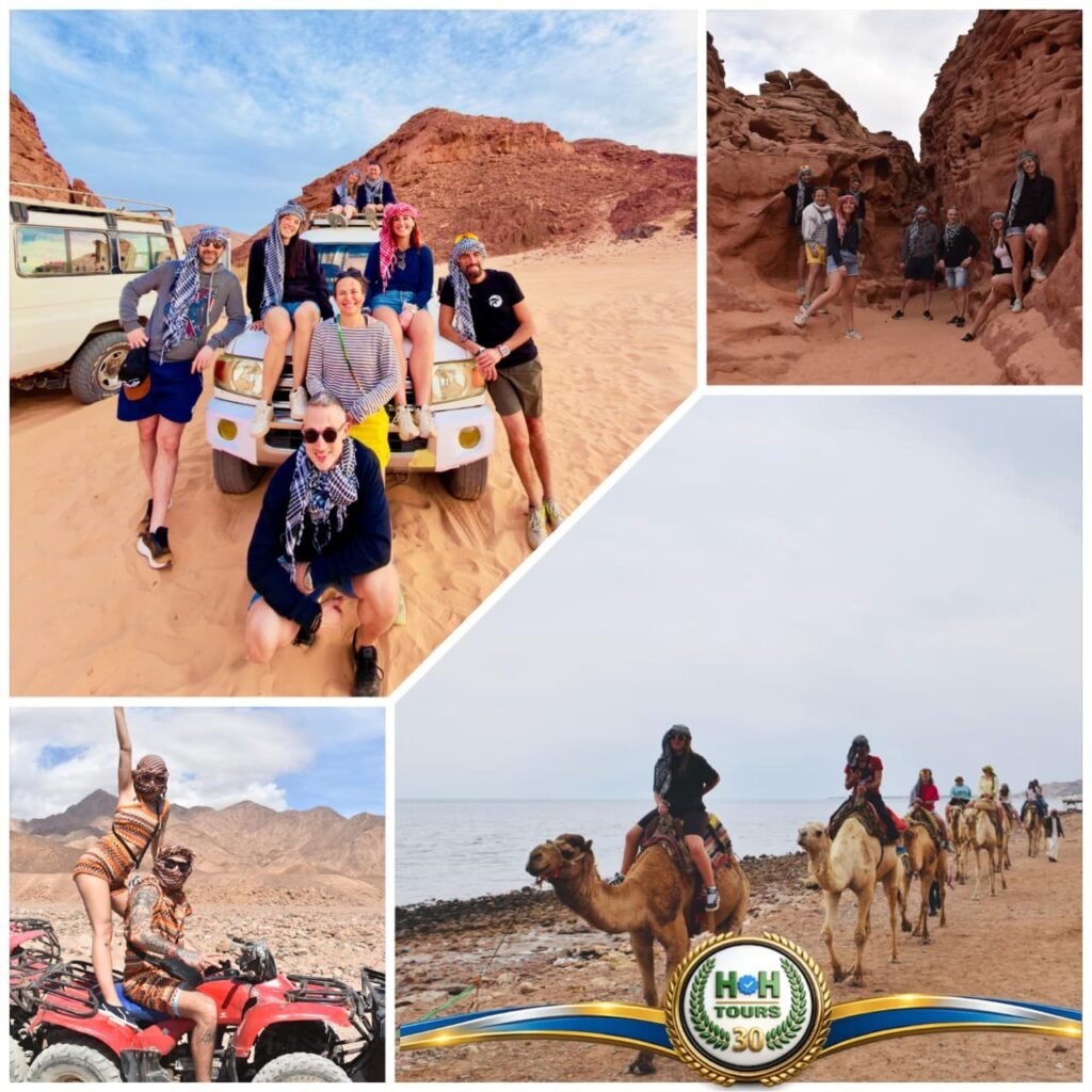 Jeep Safari(5*1)