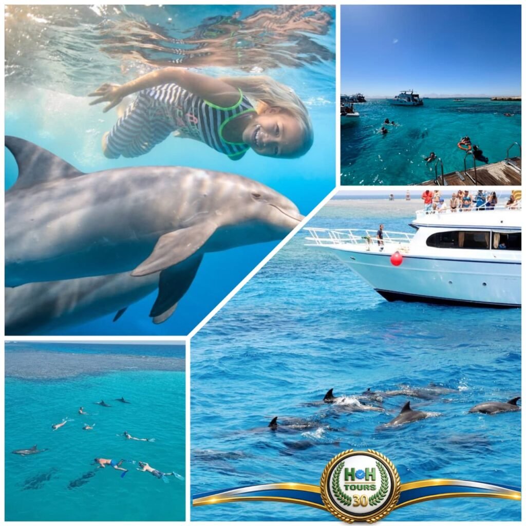 House dolphin